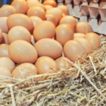Günlük Taze Köy Yumurtası - Görsel 3