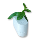 Keçi Peyniri - Görsel 5